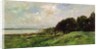 The Coast of Villerville, 1875 by Charles Francois Daubigny