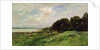 The Coast of Villerville, 1875 by Charles Francois Daubigny