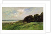 The Coast of Villerville, 1875 by Charles Francois Daubigny