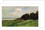 The Coast of Villerville, 1875 by Charles Francois Daubigny