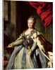 Portrait de Catherine II, vers 1770 by Fedor Stepanovich Rokotov