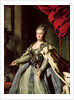 Portrait de Catherine II, vers 1770 by Fedor Stepanovich Rokotov