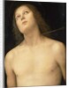 St. Sebastian, c.1495 by Pietro Perugino
