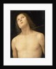 St. Sebastian, c.1495 by Pietro Perugino