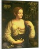 Flora, c.1520 by Francesco Melzi or Melzo