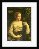Flora, c.1520 by Francesco Melzi or Melzo