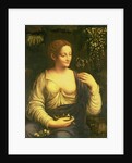 Flora, c.1520 by Francesco Melzi or Melzo