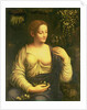 Flora, c.1520 by Francesco Melzi or Melzo