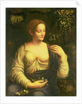 Flora, c.1520 by Francesco Melzi or Melzo