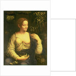 Flora, c.1520 by Francesco Melzi or Melzo