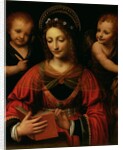St. Catherine, 1527-31 by Bernardino Luini