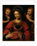 St. Catherine, 1527-31 by Bernardino Luini