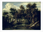 Landscape with an Oak, 1634 by Jan Josephsz van Goyen