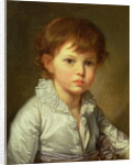Portrait of Count Stroganov as a Child, 1778 by Jean Baptiste Greuze