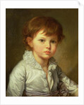 Portrait of Count Stroganov as a Child, 1778 by Jean Baptiste Greuze