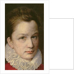 Portrait of a Youth, c.1570-75 by or Dumoustier Pierre Dumonstier