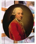 Portrait of a Man in a Red Caftan, 1764 by Alexander Roslin