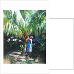 Coconut Shade, 2014 by Colin Bootman