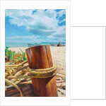 Anchored, 2018 by Colin Bootman