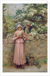 Spring Romance by Robert Payton Reid