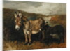 Donkeys out on the Moor, c.1890 by John Emms