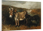 Donkeys out on the Moor, c.1890 by John Emms