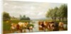 Cattle in a Water Meadow near Thanington, Kent, 1901 by William Sidney Cooper