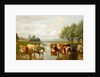 Cattle in a Water Meadow near Thanington, Kent, 1901 by William Sidney Cooper