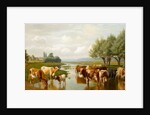 Cattle in a Water Meadow near Thanington, Kent, 1901 by William Sidney Cooper