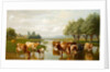 Cattle in a Water Meadow near Thanington, Kent, 1901 by William Sidney Cooper