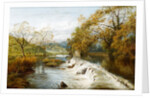 An Overflow Weir by a Mill Pond, c.1880 by English School