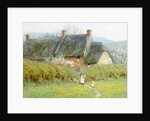 Buttercups, Near Bridport, Dorset by Helen Allingham