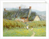 Buttercups, Near Bridport, Dorset by Helen Allingham