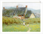 Buttercups, Near Bridport, Dorset by Helen Allingham