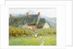 Buttercups, Near Bridport, Dorset by Helen Allingham