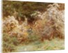 Traveller's Joy: A Surrey Hedgerow by Helen Allingham