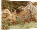 Traveller's Joy: A Surrey Hedgerow by Helen Allingham