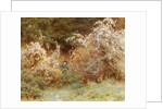 Traveller's Joy: A Surrey Hedgerow by Helen Allingham