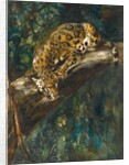 A Panther on a Branch by Cuthbert Edmund Swan