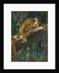 A Panther on a Branch by Cuthbert Edmund Swan