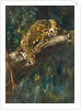 A Panther on a Branch by Cuthbert Edmund Swan