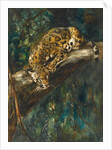 A Panther on a Branch by Cuthbert Edmund Swan