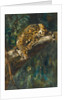 A Panther on a Branch by Cuthbert Edmund Swan