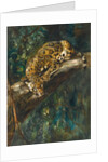 A Panther on a Branch by Cuthbert Edmund Swan