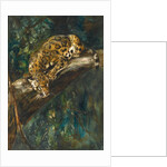 A Panther on a Branch by Cuthbert Edmund Swan