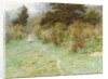Primroses on a Surrey Heath by Helen Allingham
