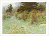 Primroses on a Surrey Heath by Helen Allingham