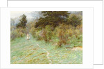 Primroses on a Surrey Heath by Helen Allingham
