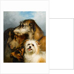 A Wolfhound and Sporting Companions, 1863 by Thomas Earl