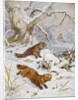 Wolverines in the Snow by August Specht